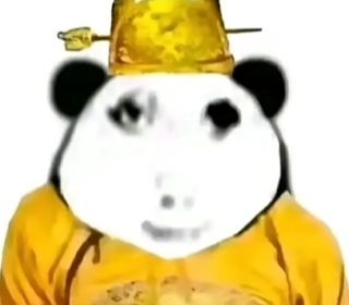 large picture of the cover